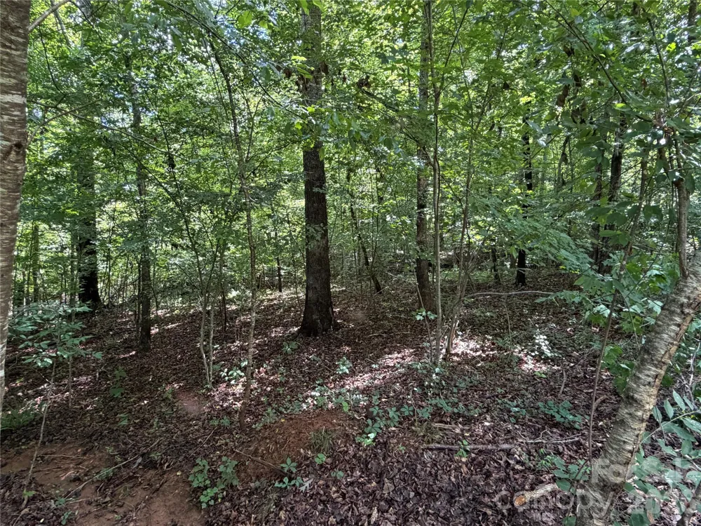 0 Beechtree Circle Rutherfordton, NC 28139