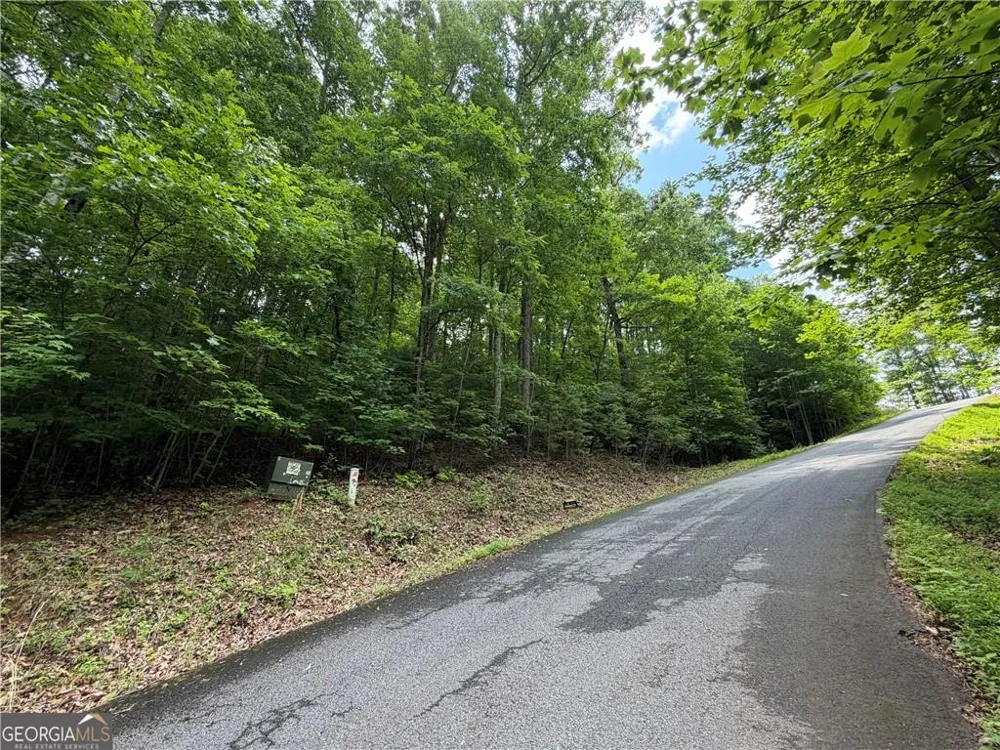 6 & 7 Mill Ridge Rd Hiawassee, GA 30546