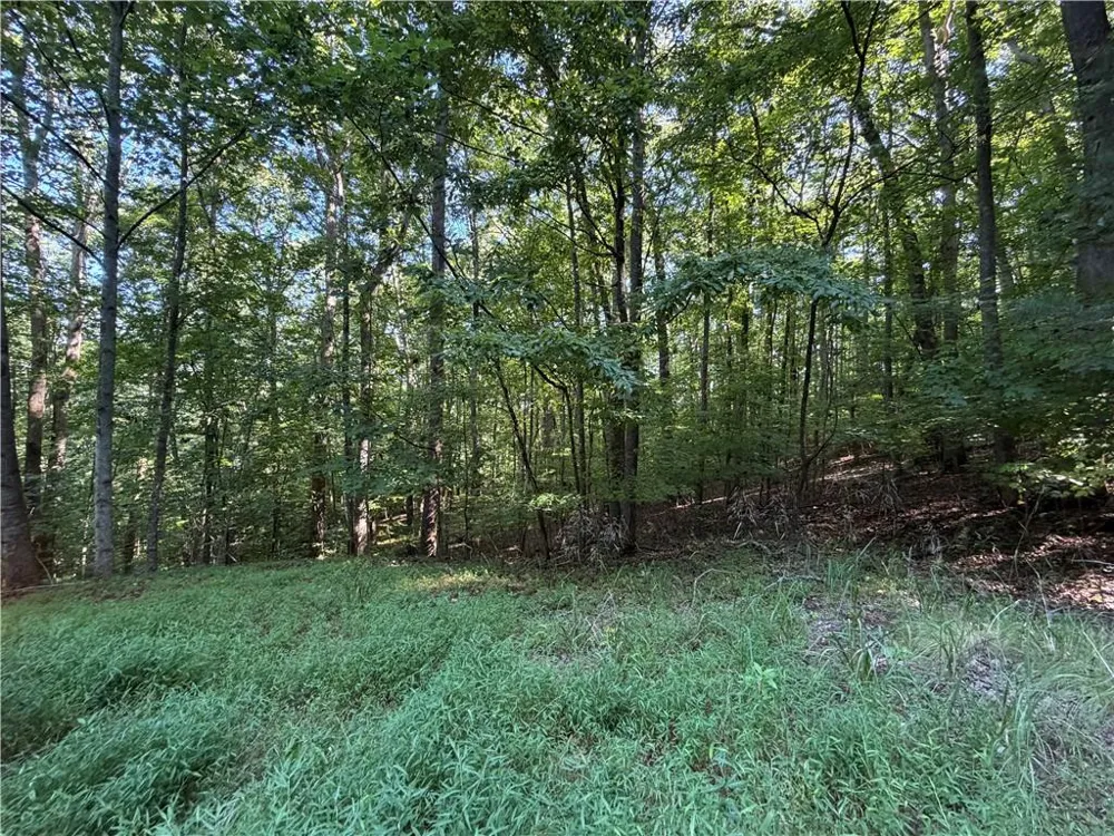 6 & 7 Mill Ridge Rd Hiawassee, GA 30546