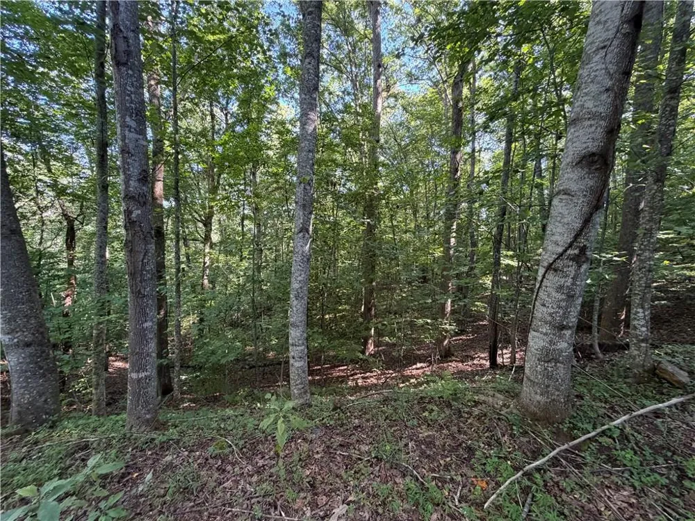 6 & 7 Mill Ridge Rd Hiawassee, GA 30546