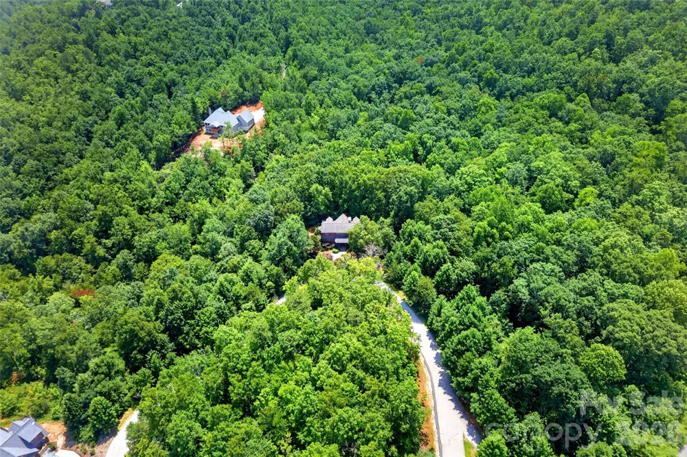 1767 Catawba Falls Parkway #238 Black Mountain, NC 28711