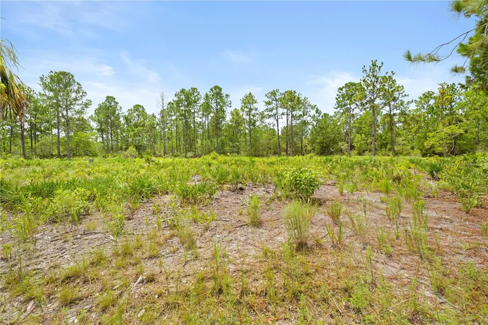 10052 YELLOWBIRD AVENUE Weeki Wachee, FL 34614