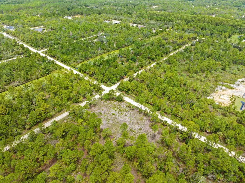10052 YELLOWBIRD AVENUE Weeki Wachee, FL 34614