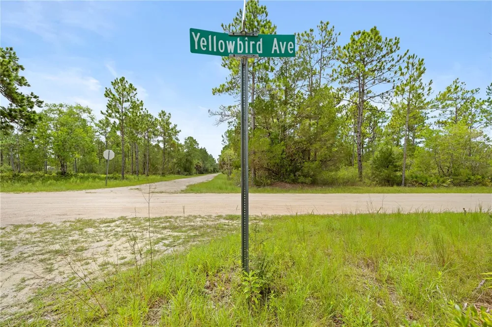 10052 YELLOWBIRD AVENUE Weeki Wachee, FL 34614