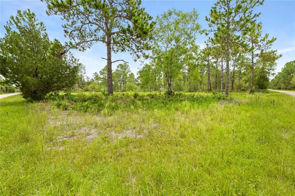10052 YELLOWBIRD AVENUE Weeki Wachee, FL 34614