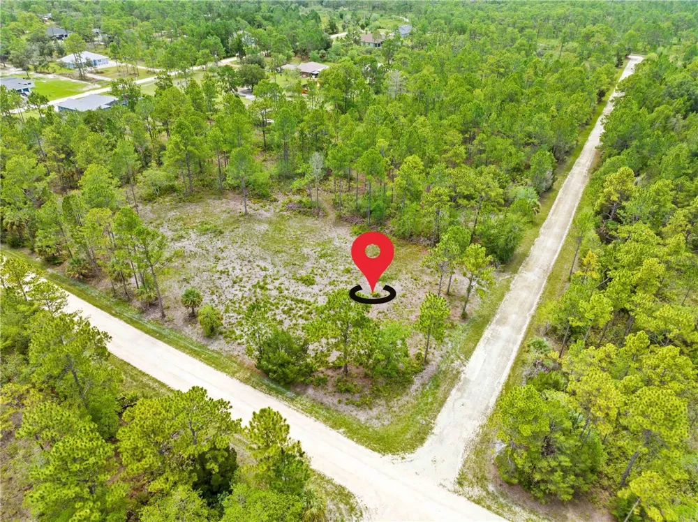 10052 YELLOWBIRD AVENUE Weeki Wachee, FL 34614