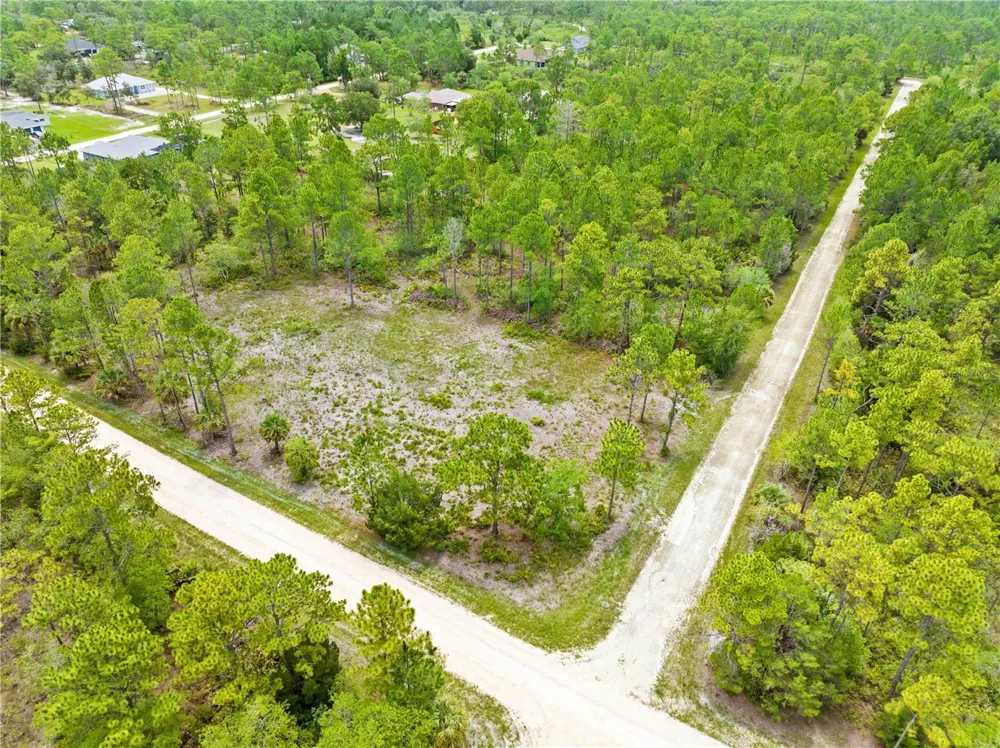 10052 YELLOWBIRD AVENUE Weeki Wachee, FL 34614