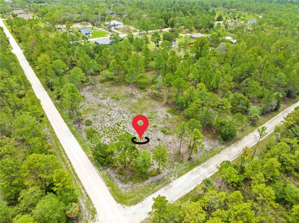 10052 YELLOWBIRD AVENUE Weeki Wachee, FL 34614