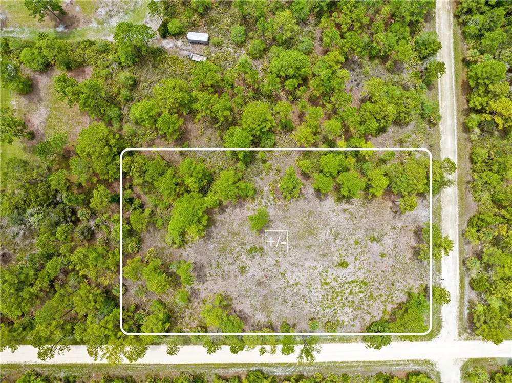 10052 YELLOWBIRD AVENUE Weeki Wachee, FL 34614