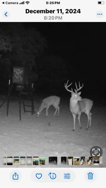 County Road 104 Whitesboro, TX 76273