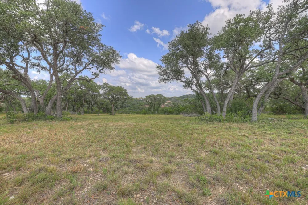 338 Sheridan Drive Canyon Lake, TX 78133