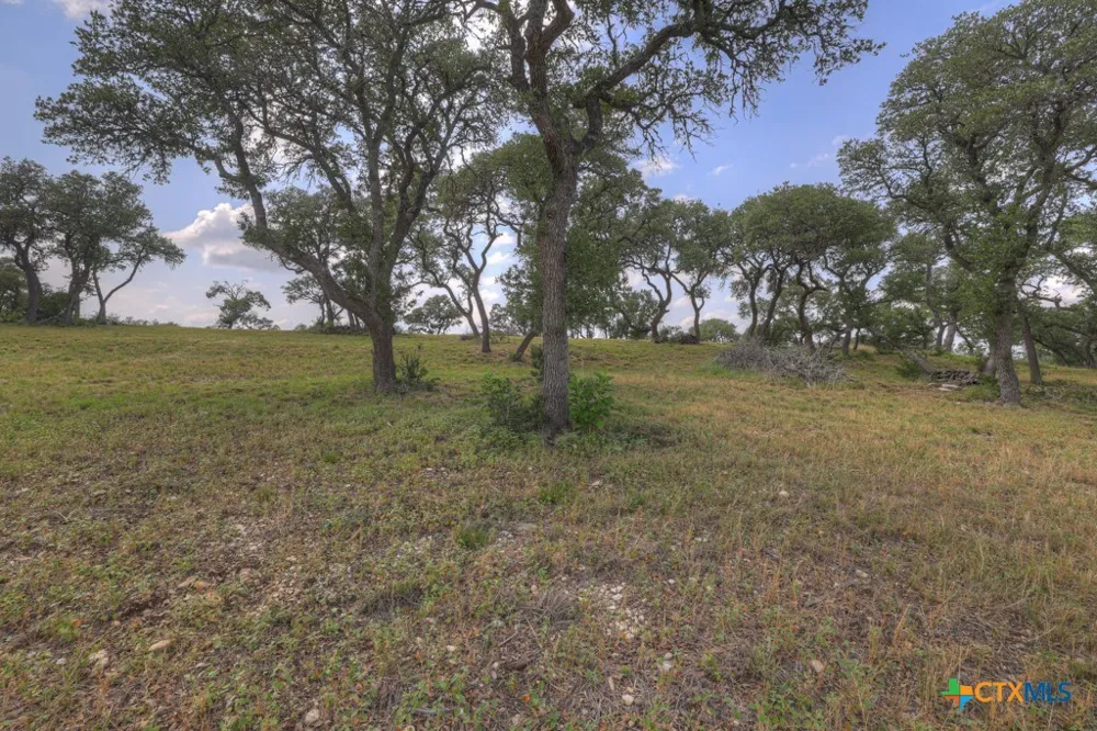 338 Sheridan Drive Canyon Lake, TX 78133
