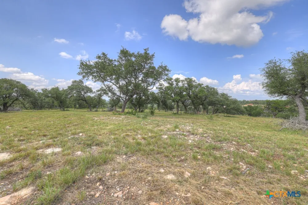 338 Sheridan Drive Canyon Lake, TX 78133