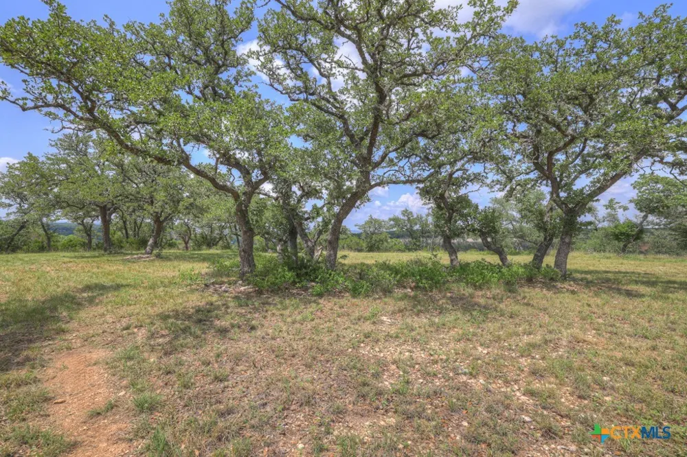 338 Sheridan Drive Canyon Lake, TX 78133