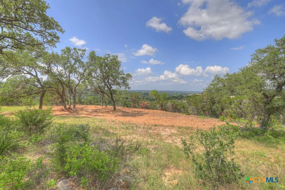 338 Sheridan Drive Canyon Lake, TX 78133