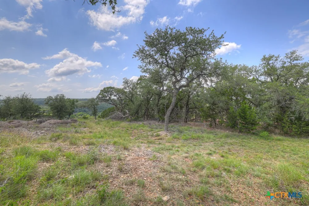 338 Sheridan Drive Canyon Lake, TX 78133