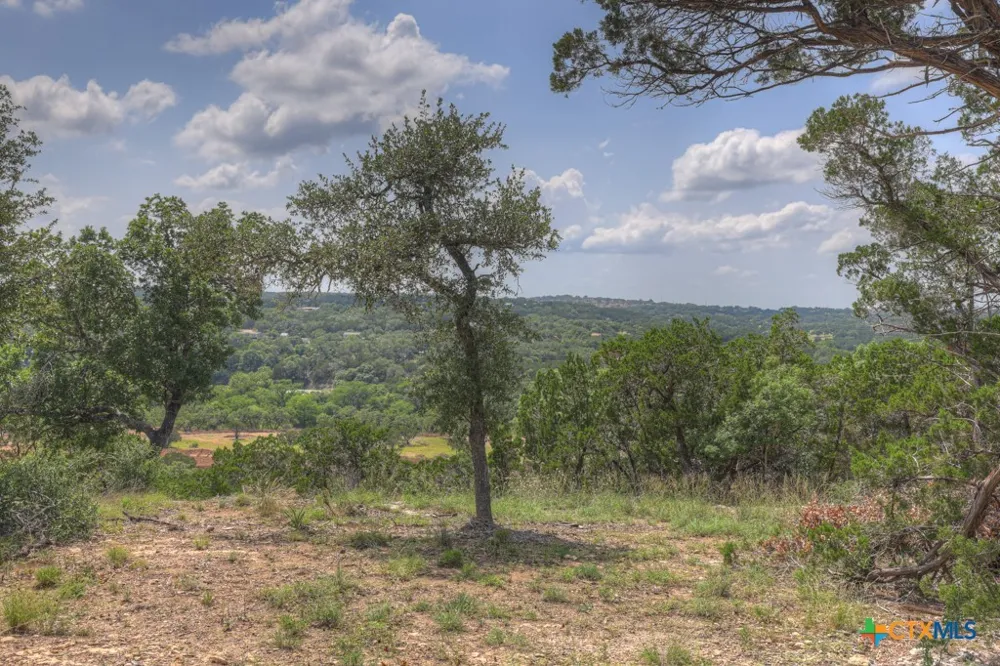 338 Sheridan Drive Canyon Lake, TX 78133