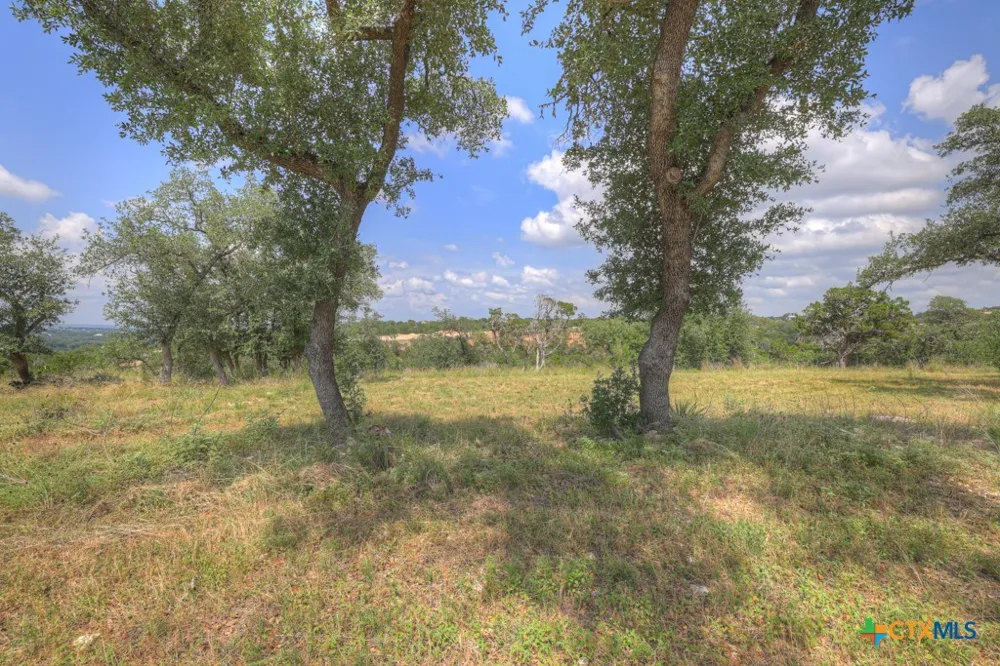 338 Sheridan Drive Canyon Lake, TX 78133