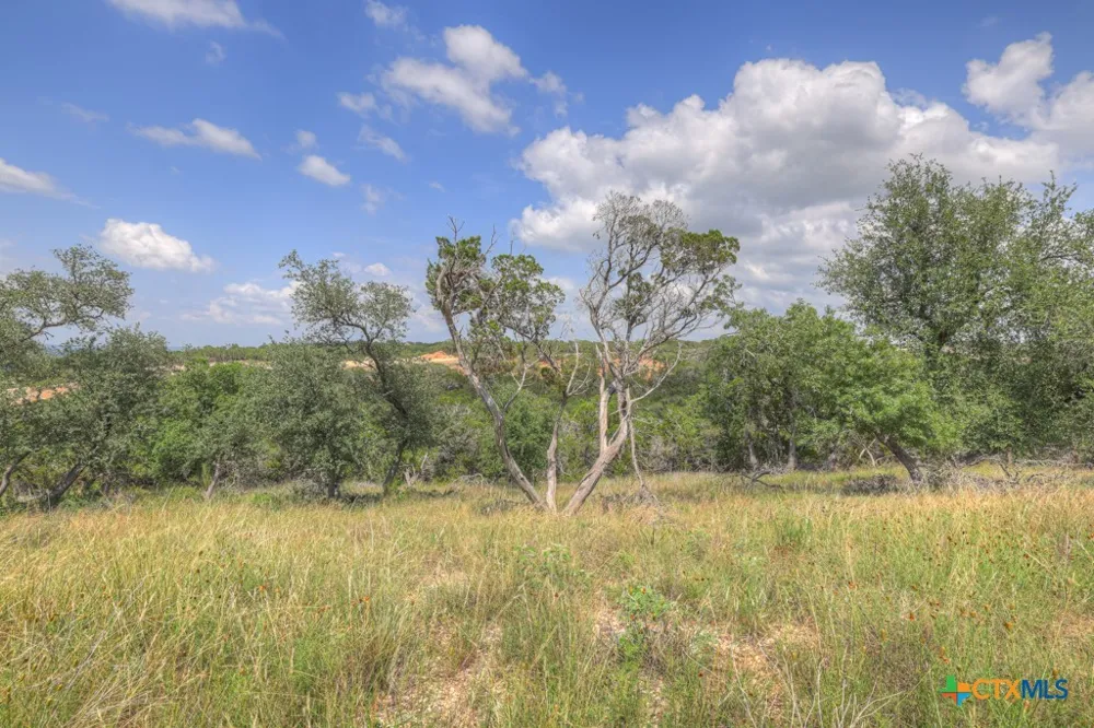 338 Sheridan Drive Canyon Lake, TX 78133