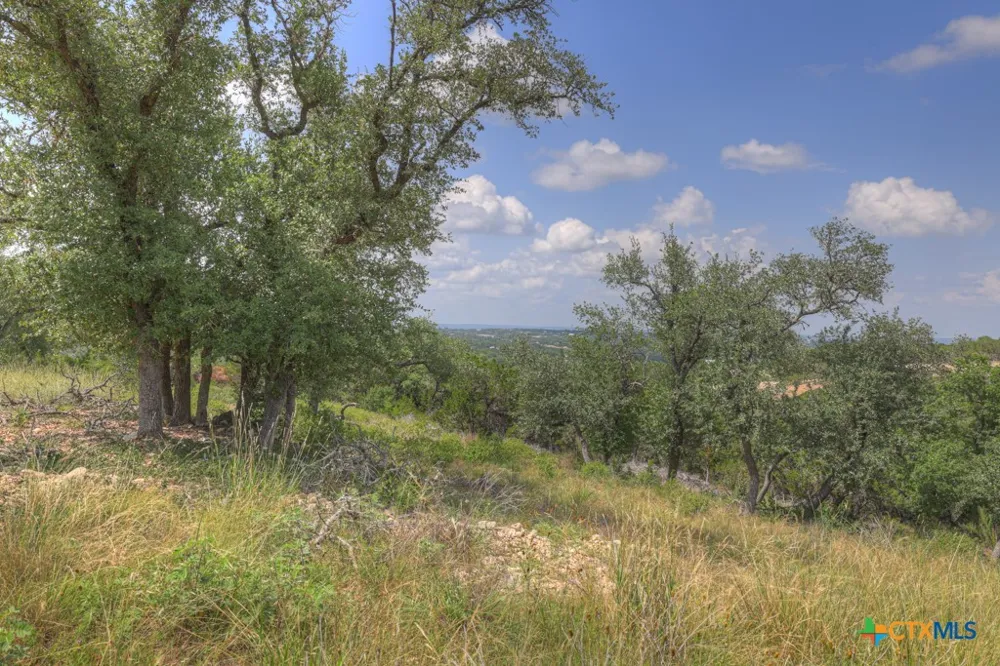 338 Sheridan Drive Canyon Lake, TX 78133