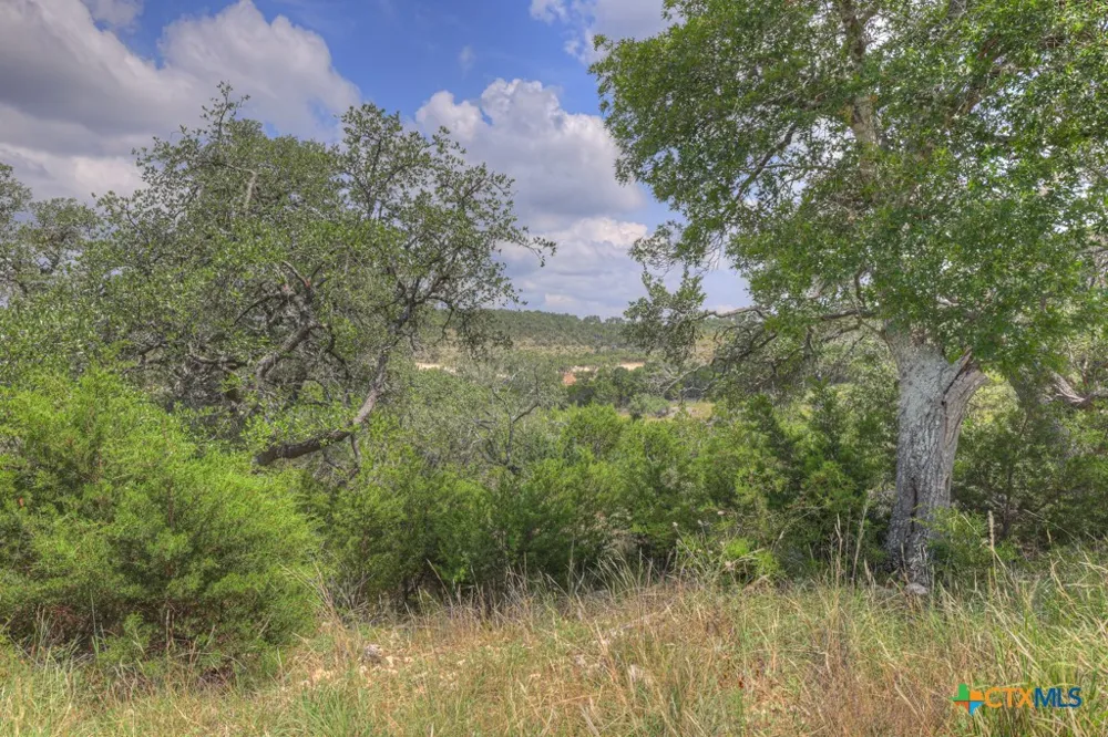 338 Sheridan Drive Canyon Lake, TX 78133