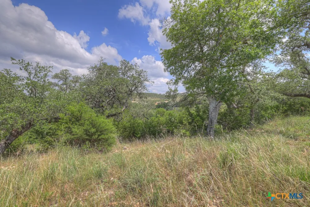 338 Sheridan Drive Canyon Lake, TX 78133
