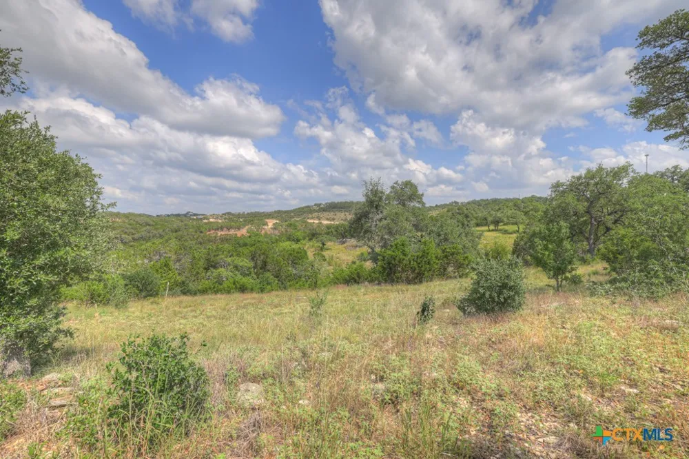 338 Sheridan Drive Canyon Lake, TX 78133