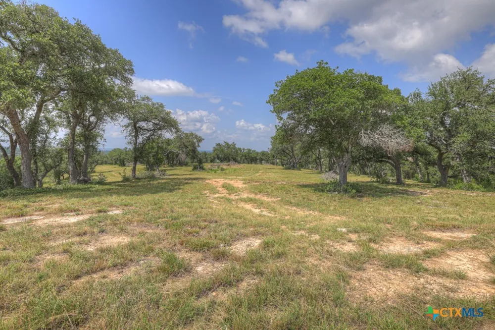 338 Sheridan Drive Canyon Lake, TX 78133