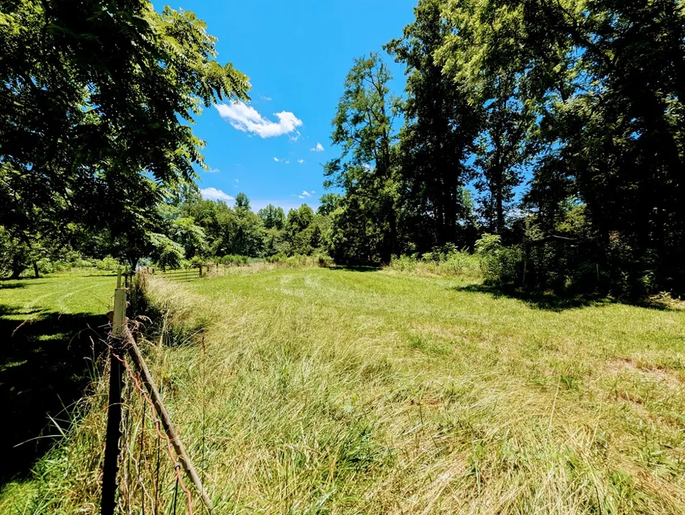 169 E Vineyard Road Hayesville, NC 28904