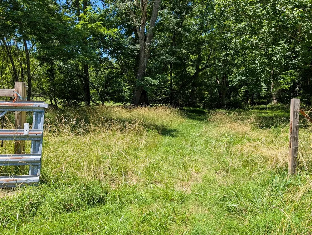 169 E Vineyard Road Hayesville, NC 28904