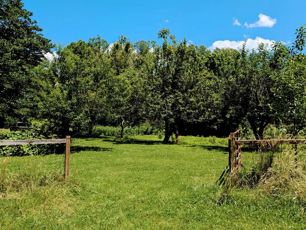 169 E Vineyard Road Hayesville, NC 28904