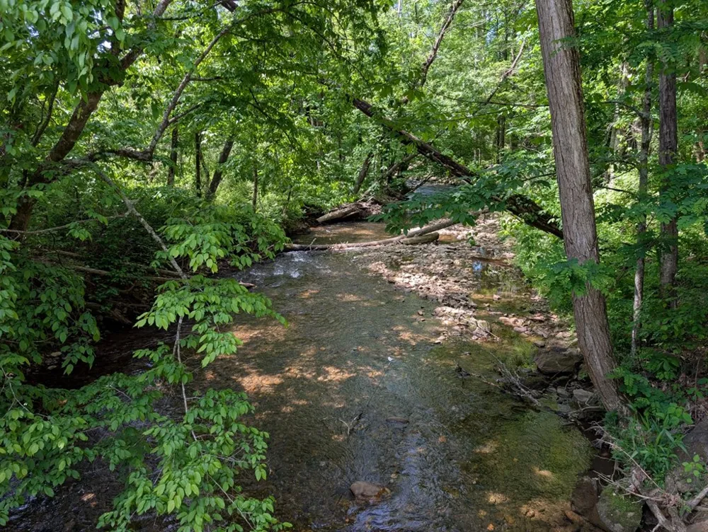 169 E Vineyard Road Hayesville, NC 28904