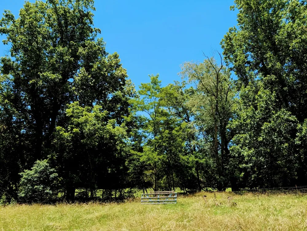 169 E Vineyard Road Hayesville, NC 28904