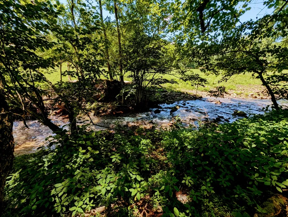 169 E Vineyard Road Hayesville, NC 28904