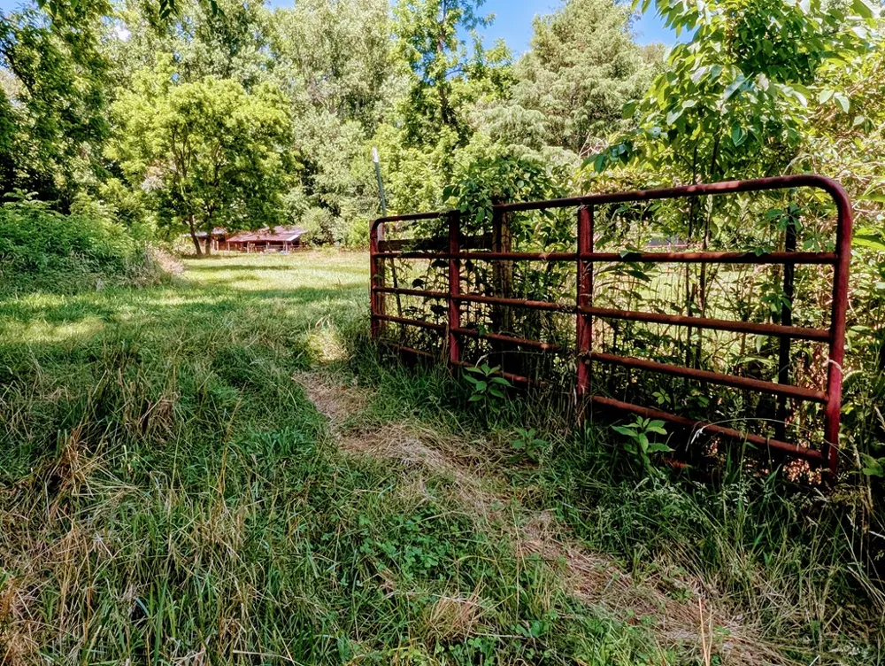 169 E Vineyard Road Hayesville, NC 28904