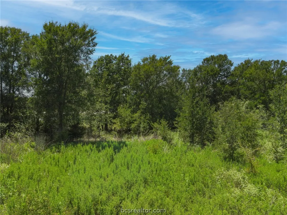 James Craft Road Somerville, TX 77879