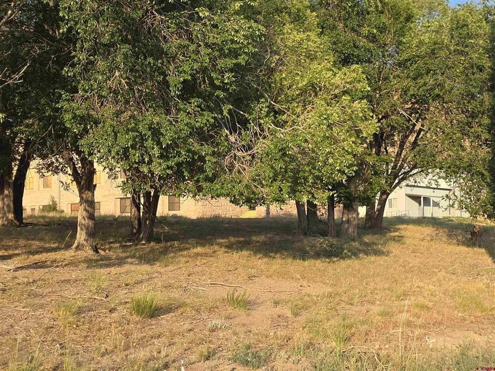 9th Street Del Norte, CO 81132