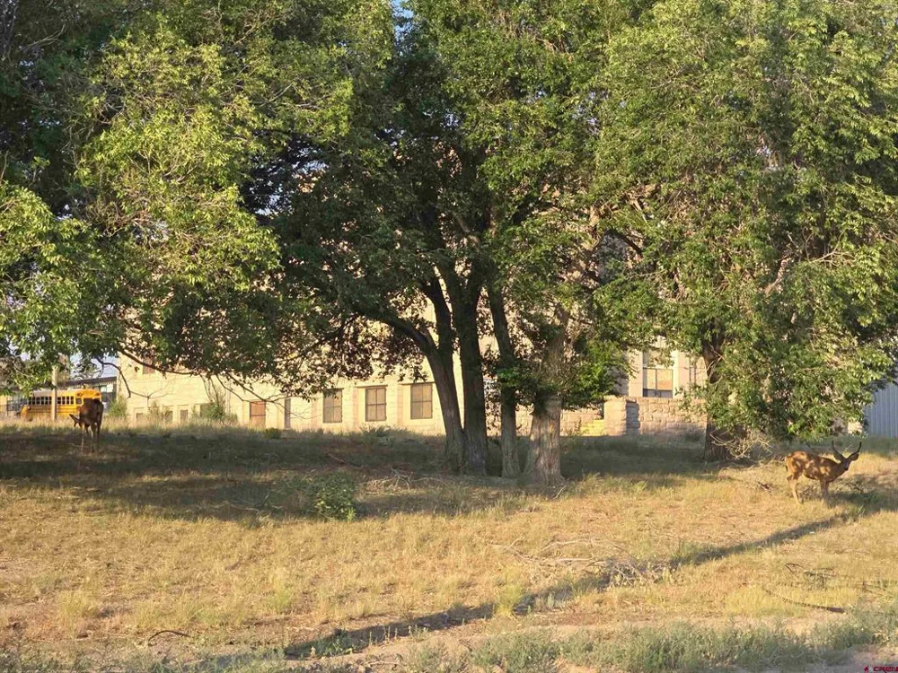 9th Street Del Norte, CO 81132