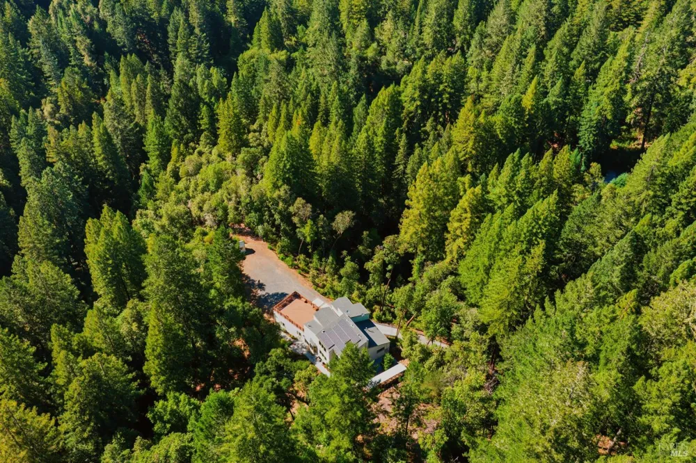 13785 Green Valley Road Forestville, CA 95436