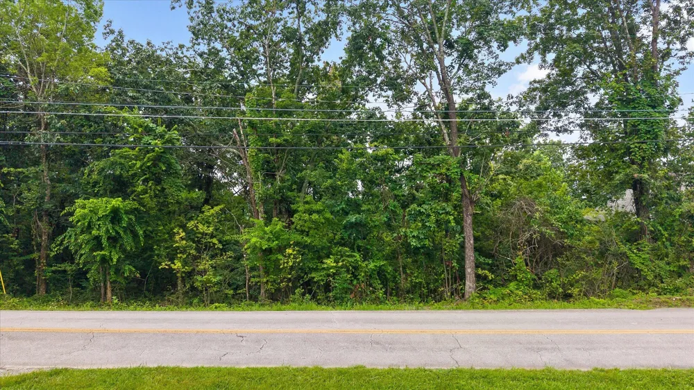 2830 Kell Road Signal Mountain, TN 37377