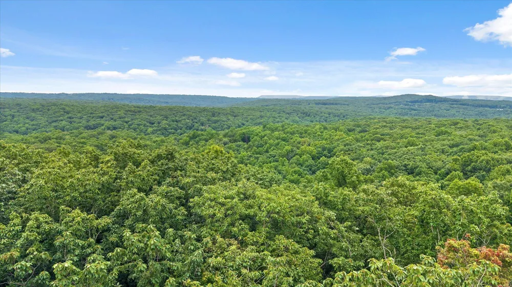 2830 Kell Road Signal Mountain, TN 37377