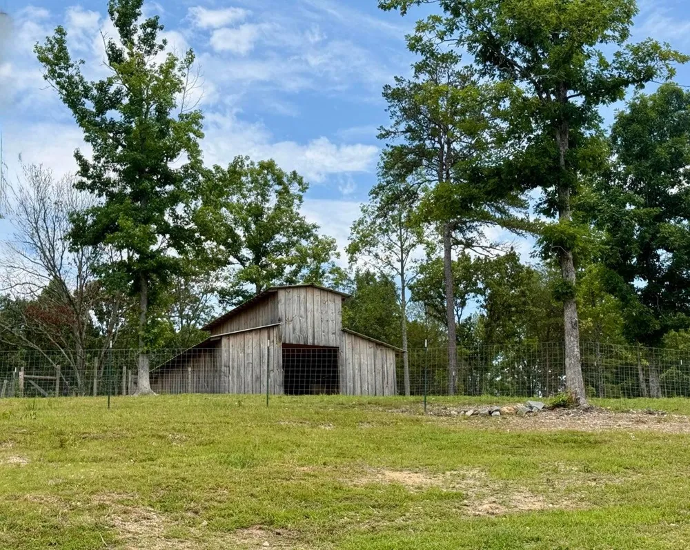 611 Clear Creek Road Evensville, TN 37332