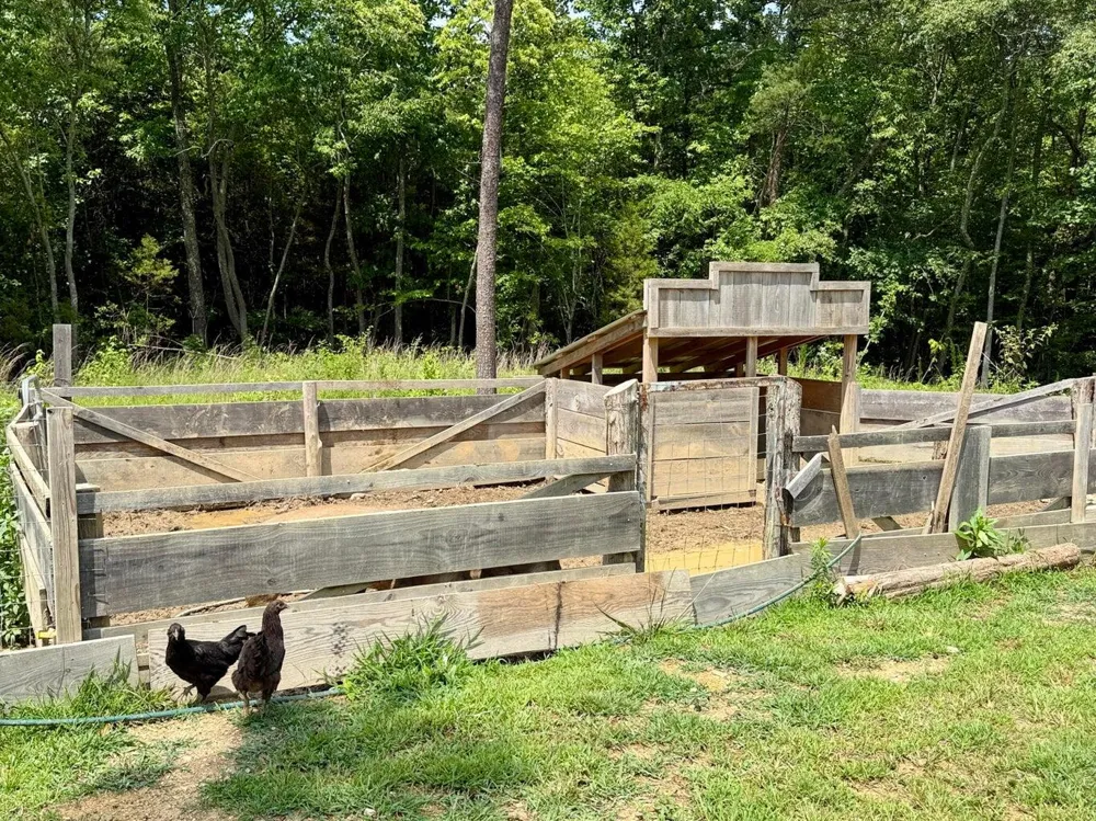 611 Clear Creek Road Evensville, TN 37332