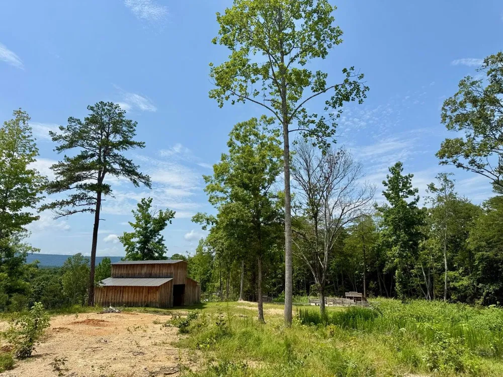 611 Clear Creek Road Evensville, TN 37332