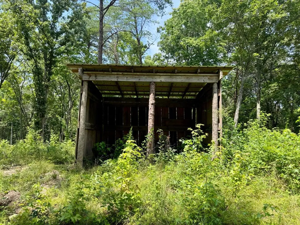 611 Clear Creek Road Evensville, TN 37332