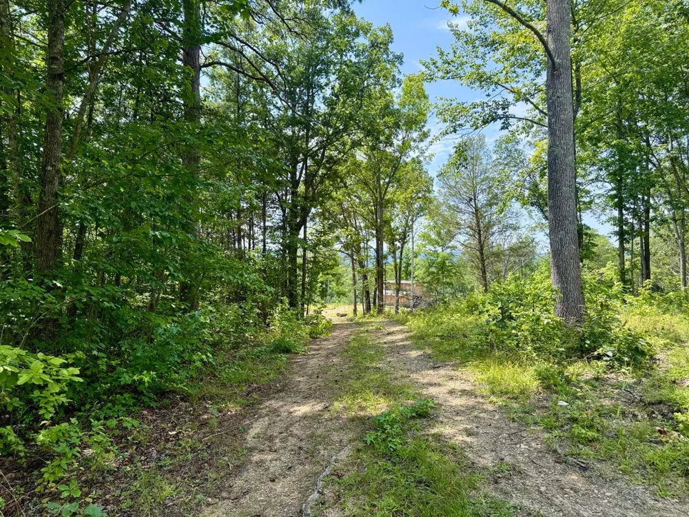 611 Clear Creek Road Evensville, TN 37332