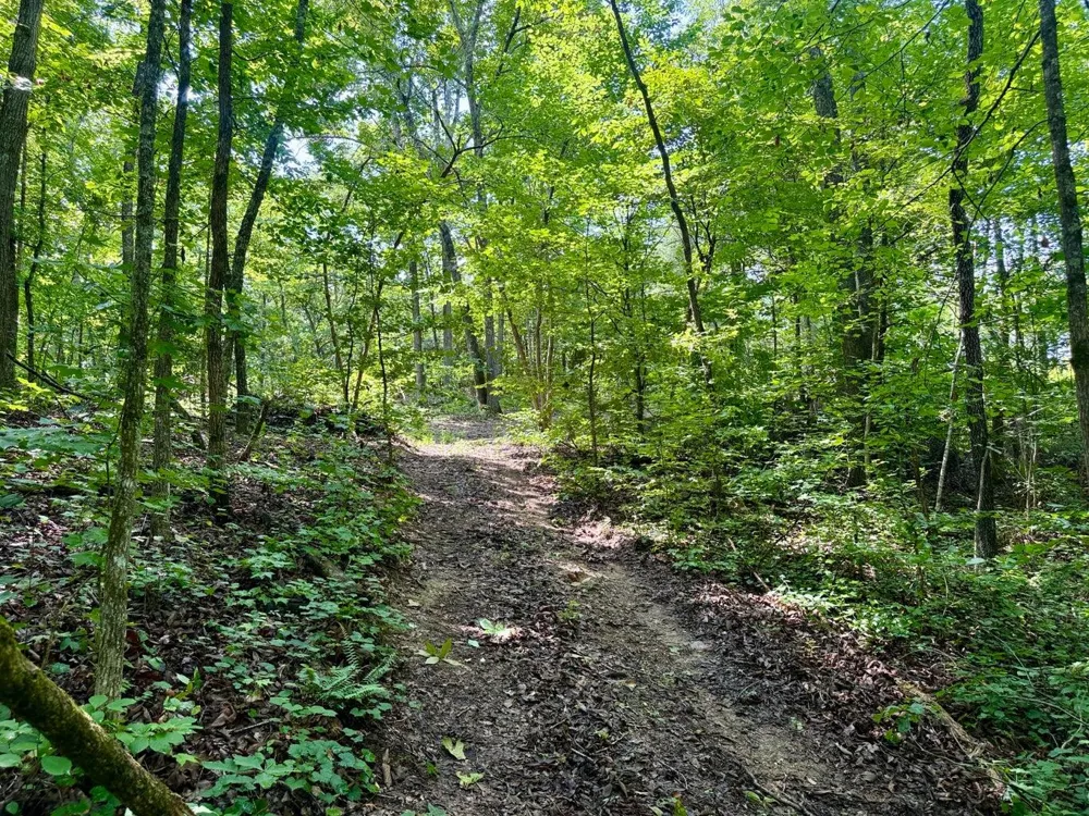 611 Clear Creek Road Evensville, TN 37332