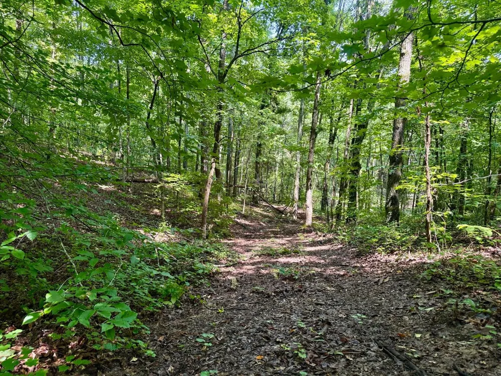 611 Clear Creek Road Evensville, TN 37332