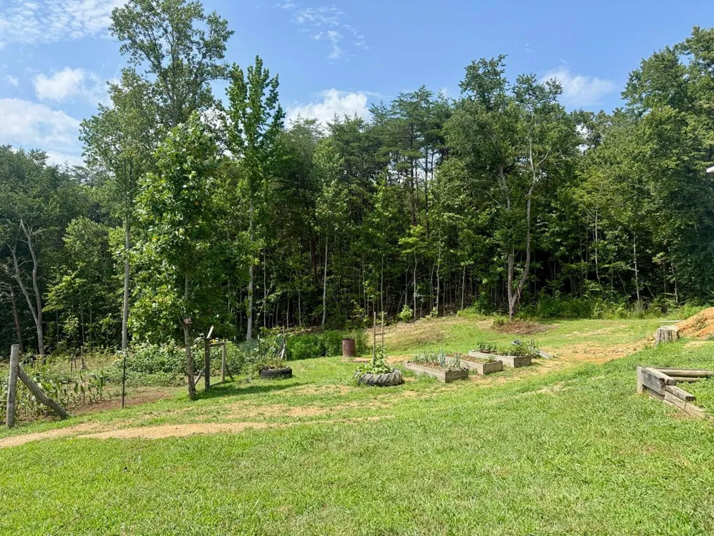 611 Clear Creek Road Evensville, TN 37332