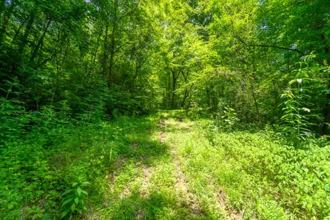 Indian Flats Dr
